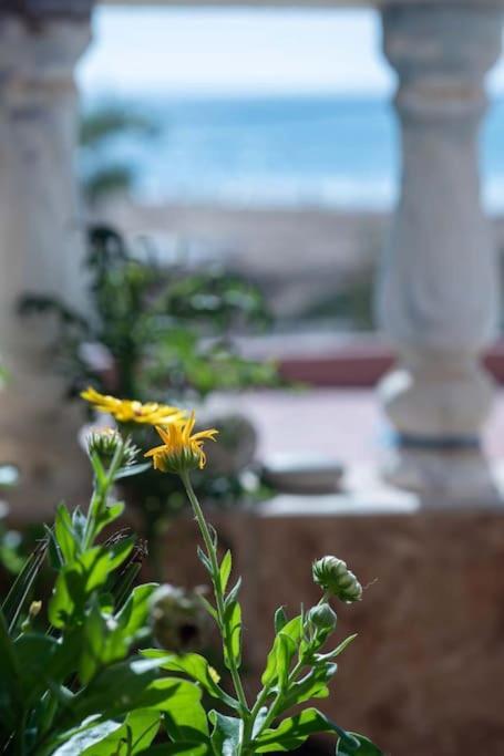 Apartment Lovers' Dream - Live Right By The Sea